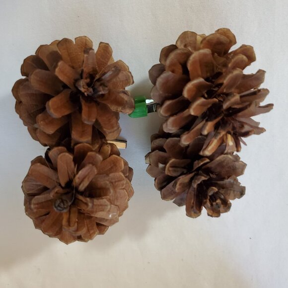 Natural Unscented Wooded Pinecone Clip Ornaments – Holiday Décor – Set of (2) - Picture 6 of 7